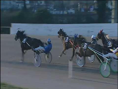 Trotto 03/01/2020 - 3ª corsa