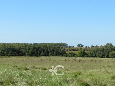 Video de YouTube - Campo en venta en Canelones ref. 578