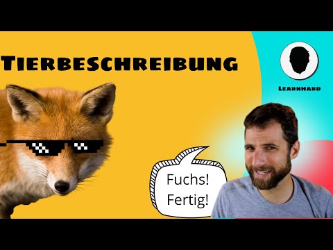 The animal description - content, example and color adjectives