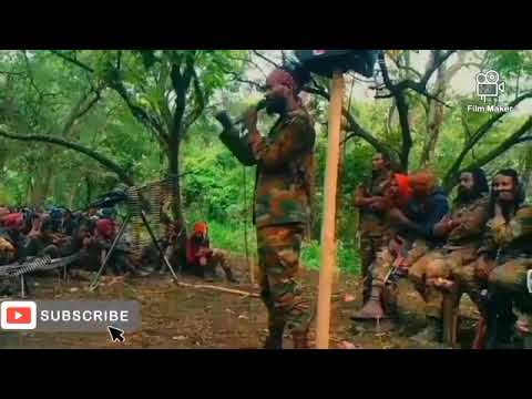 Abo wbo hoogganaa walii galaa jaal marroo (dirribaa dubbatan