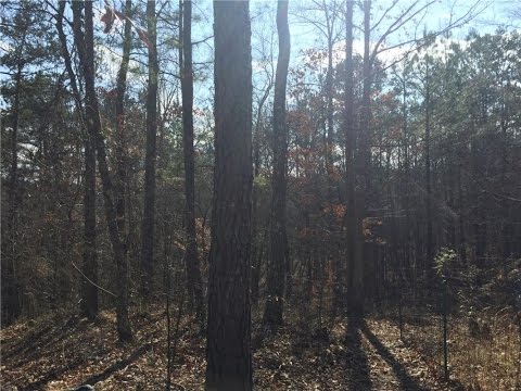 Lots And Land for sale - 0 John Walraven Road, Dallas, GA 30132
