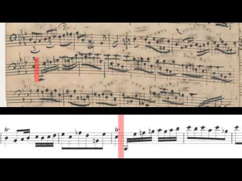 BWV 1010 - Cello Suite No.4 (Scrolling)