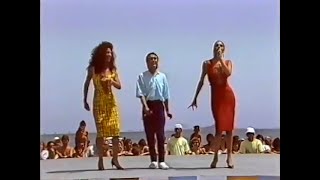 Debajo Del Olivo Lyrics English Translation