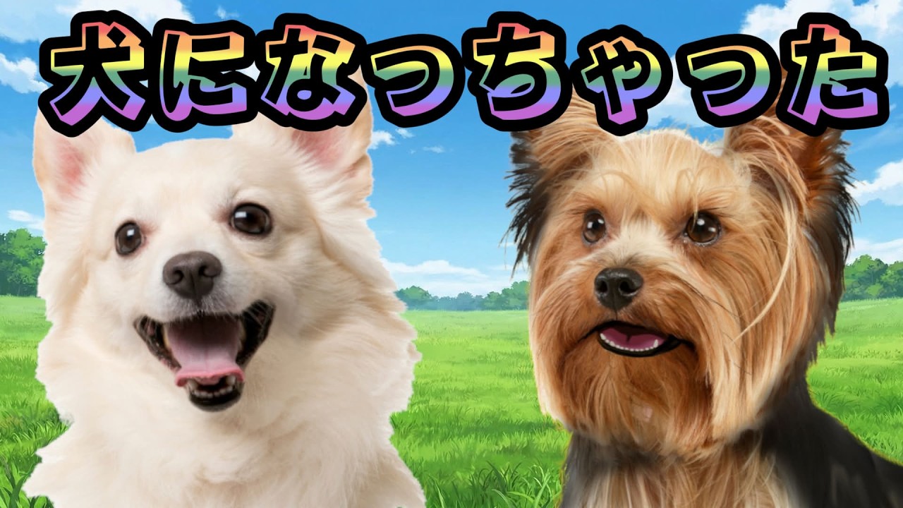 【 犬になっちゃった 】嘘を見抜けたら人間に戻ることができます【遠吠きゃん】＃犬犬犬犬犬犬
