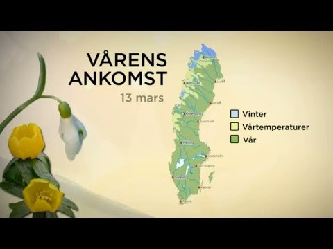 Sophia Nilsson om vårens framfart i landet - Nyhetsmorgon (TV4)