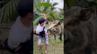 Download lagu Survival Skills: Make a Smoke Bomb to Repel Wild Boars🐗💨#ohd #survival #camping #bushcraft #skills mp3