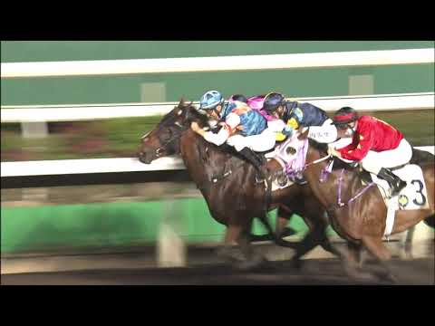 31/3/2021 (550) Hang's Decision - Z Purton