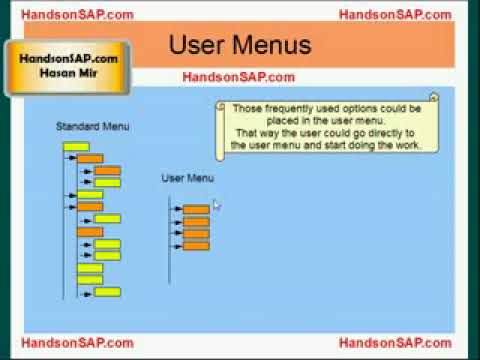 SAP Terms   Video 9   SAP Terms