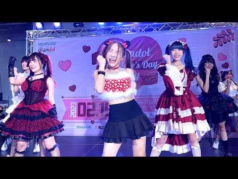 Castella - Siamdol Valentine's Day Party