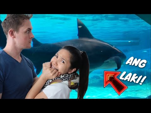 Diyeta sa mawala timbang lalaking may bigat ng 90 kg Slimming slim expert eveline review