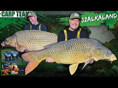 Rokolya Péter - Szálkaland