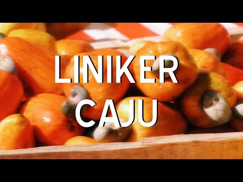 Liniker - Caju (Letra)