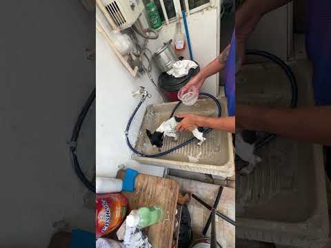 Bañe a frijol por primera vez :D