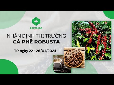 Nhận Định Thị Trường - Cà phê Robusta (Ngày 22 - 26/01/2024)