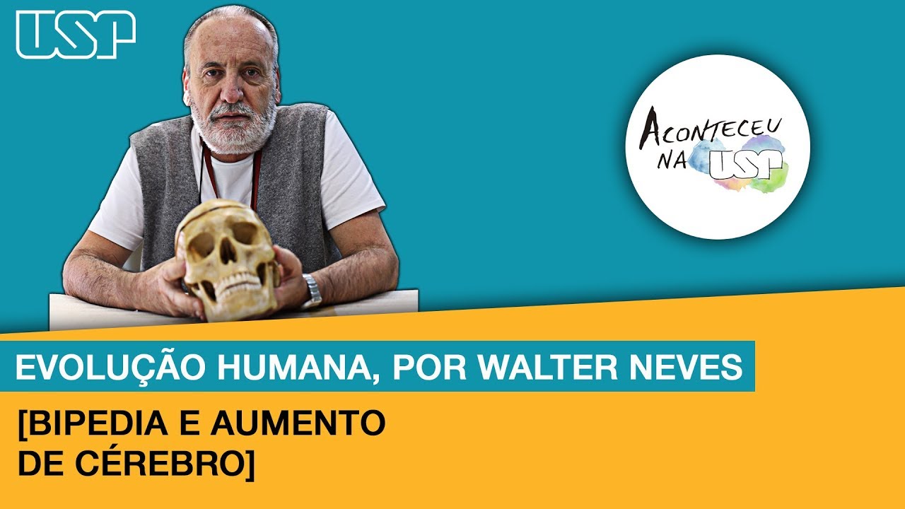 [Evolução Humana] #2 Bipedia e aumento de cérebro