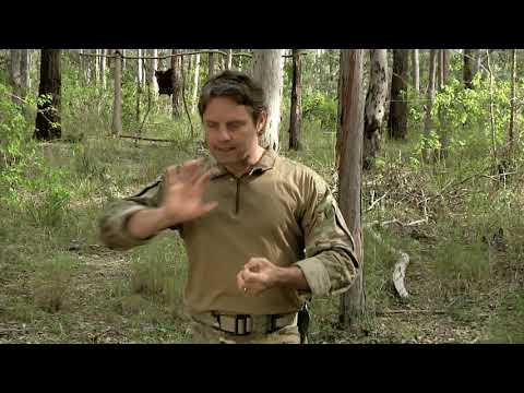 TWPA SF Tomahawk Fighting 27 Realities