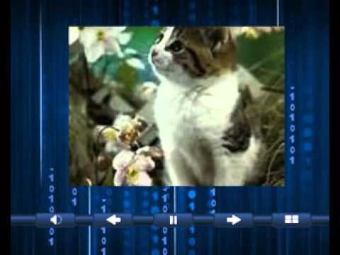 Renungan Manja - Maimun Hussein