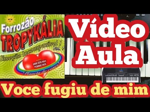 Você fugiu de mim - Forró Tropicália