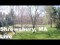 Shrewsbury, Massachusetts - Live Scenic Pond and Trees