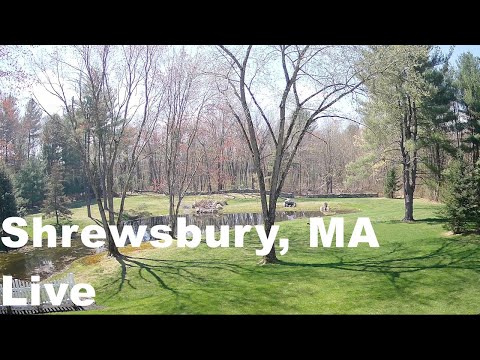 Shrewsbury, Massachusetts - Live Scenic Pond and Trees