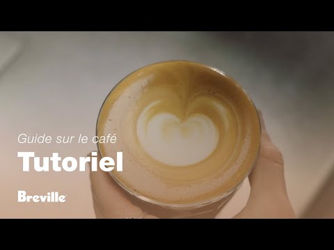 miniature vidéo