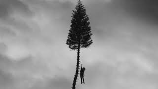 Manchester Orchestra - The Wolf (slowed)