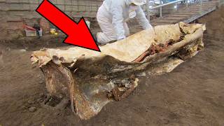 25 Most Amazing Archaeological Finds