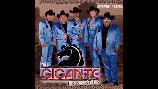 Pero a mi no me engañas - Bronco