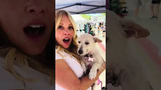 Video preview image #1 Mutt Puppy For Sale in Marina Del Rey, CA, USA