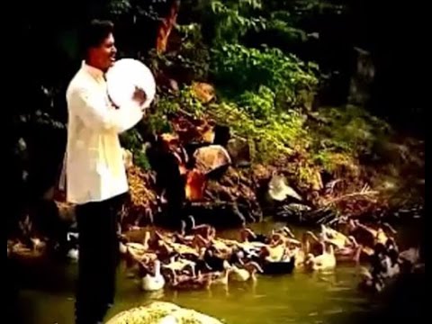 andariki kaavaali