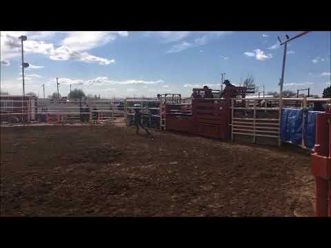 #346 Payin' Debts - 3trips - Son of #534