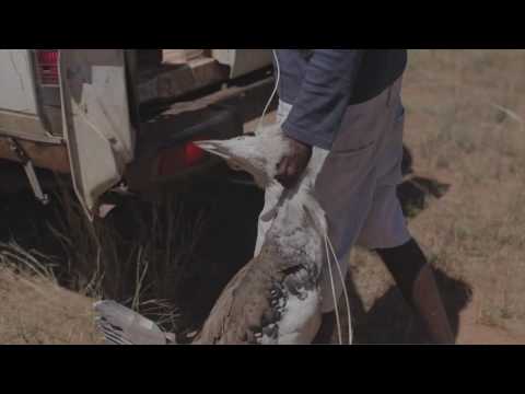 Gija Youth Program, Warmun Community