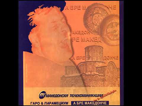 Garo & Tavitjan Brothers - Ethno solo - Garo Tavitjan Jr