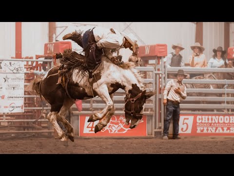 One VERY sticky ranch bronc cowboy #chinookfinals #ranchbronc