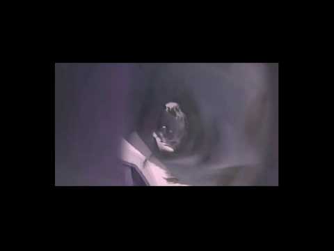 LUG MOB - "QUERO DIN" (Áudio Oficial)