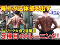 【筋トレ】背中の立体感を出す5種目のトレーニング!フィジーク大会2週間前の背中トレ【解説付】