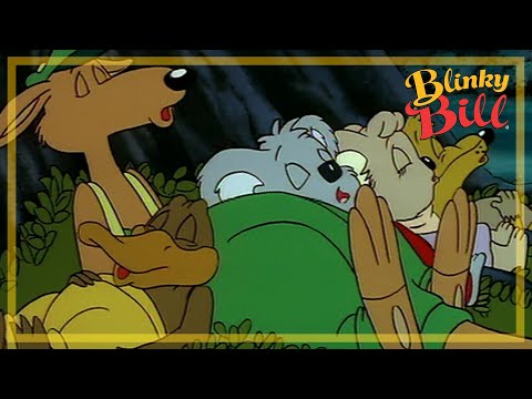 BLINKY BILL AND THE FEUD - Episode 17 - Season 2 - The Adventures of Blinky Bill
