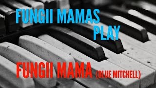 Fungii Mamas play Fungii Mama