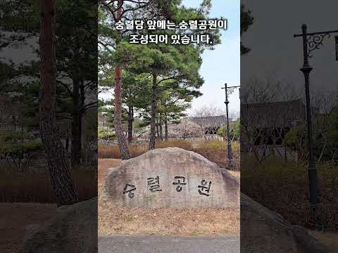 [2026새영천알림이단✨] 매화꽃 향이 가득한, 영천시 매화 명소 숭렬당