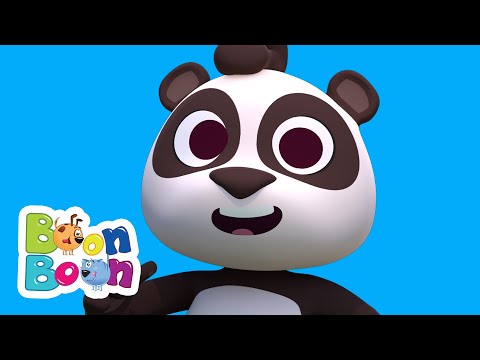 Ursulețul Panda | Cântece cu animale | Dansați cu ursuleții | Cântece BoonBoon