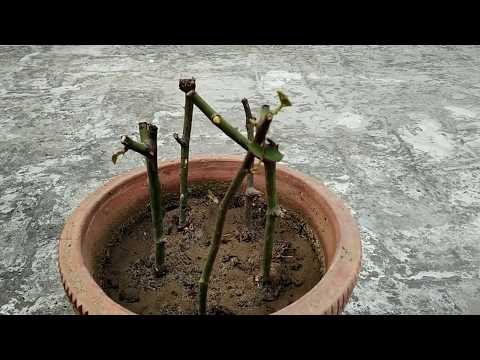 download lagu mp3 mp4 Breathingspace Com, download lagu Breathingspace Com gratis, unduh video klip Breathingspace Com