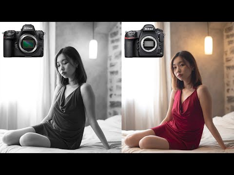 Nikon Z8 vs D850 - Portrait Shootout!