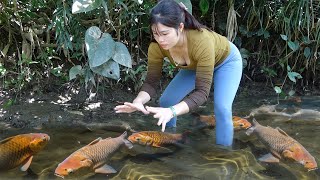 Fishing Technology: Unique Fishing, The Girl Harvesting Big Fish with Machines Pump in the Lake
