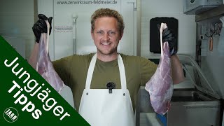 Ein Reh grob zerwirken | Jungjägertipps