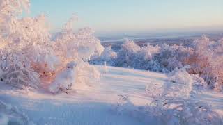 приколы, юмор, music, песня, новые мультики, мультфильмы, лучшие приколы, кино, смешные, старпро,