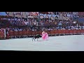 Around The World In 80 Days 1956 The Festival Spanish Bullfighting Scene La Fiesta Nacional