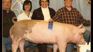 Texas by Charlie Daniels