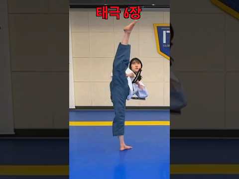 Taegeuk6 | Taegeuk Yook Jang | Taekwondo #shorts
