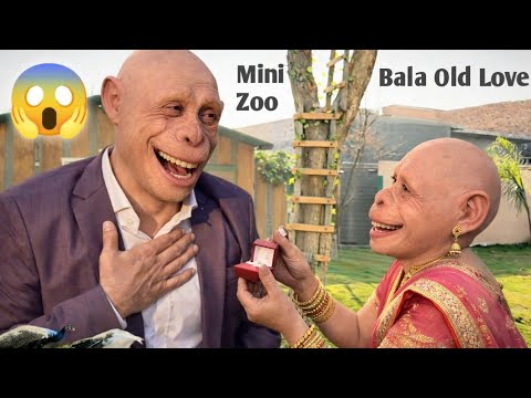 Bala Old Love ❣️ || Mini Zoo Mai Bala Ka Old Love Pohanch Gya || Bala Girlfriend || Shehr Main Dihat