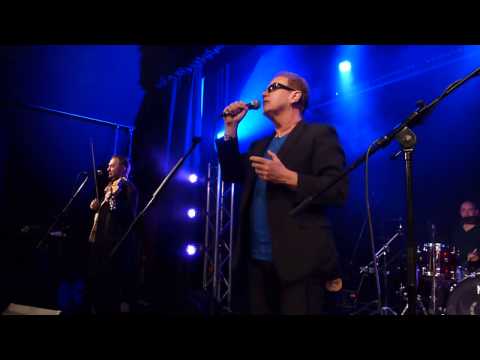 Oysterband - A Clowns Heart - Gustavsburg 5.4.2014